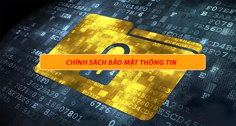 Chính Sách Bảo Mật LD789